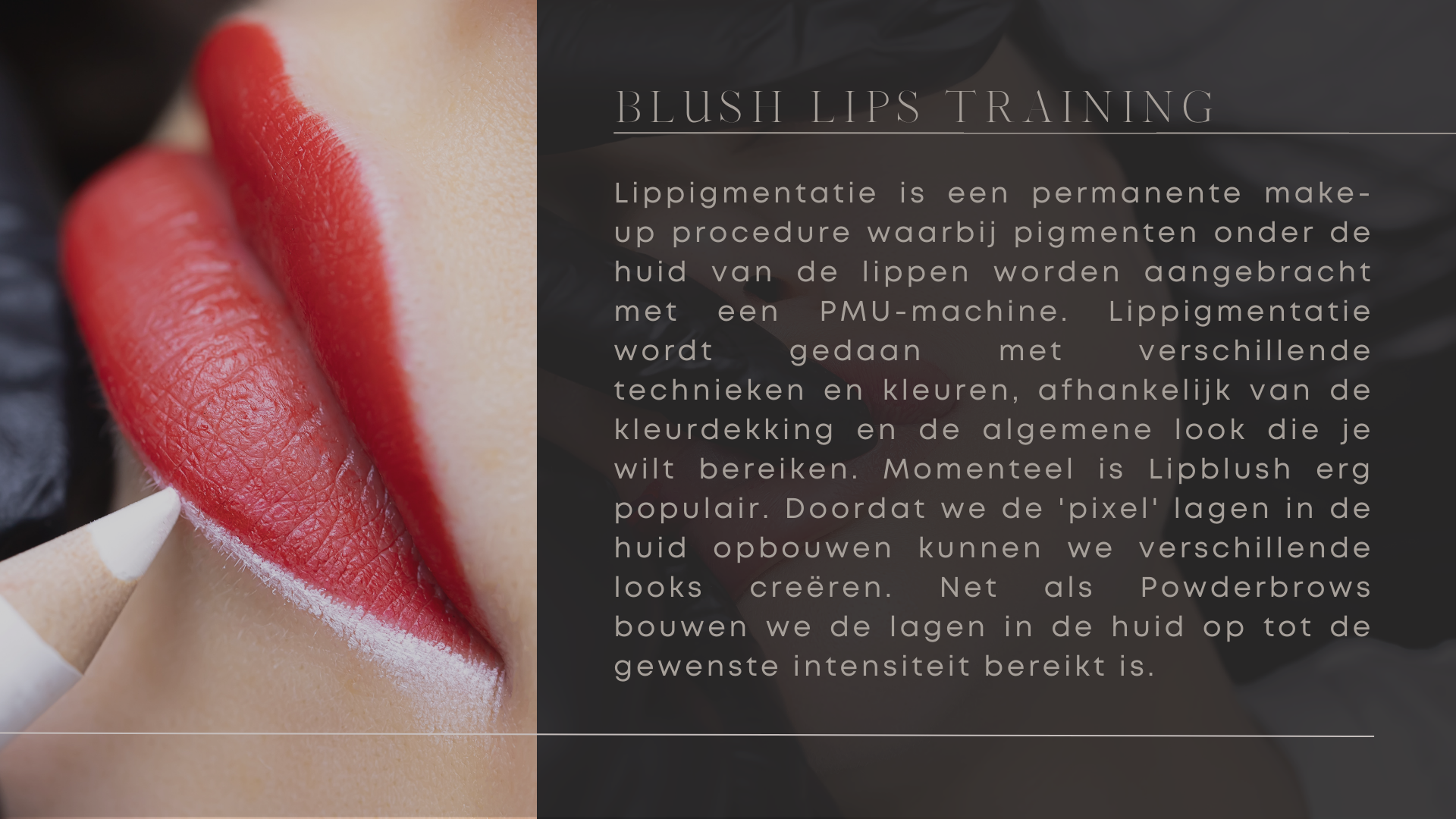 NOYA sittard permanente make-up powderbrows eyeliners lipblush lippen